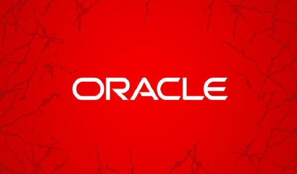 programming professional oracle database
