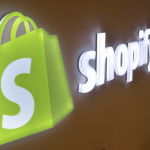 professional shopify webstore