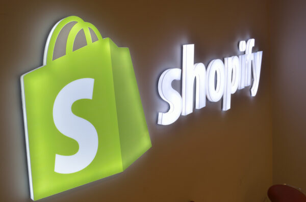 professional shopify webstore