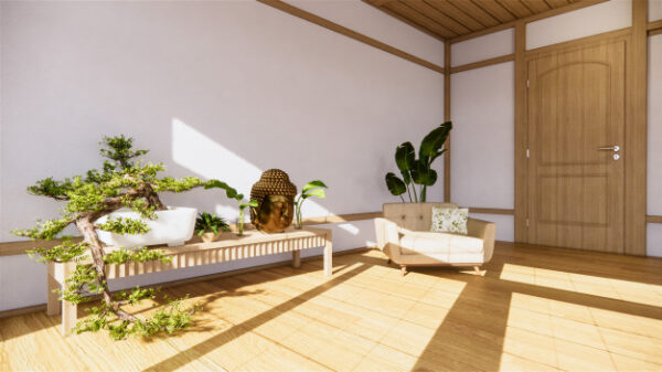 3D animation graphics and video
